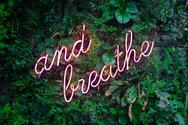 "and breathe" written over foliage